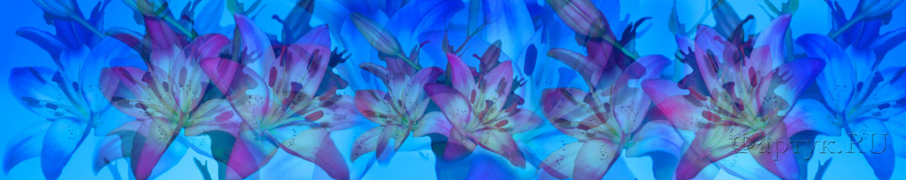 Скинали — Узор из цветков лилии