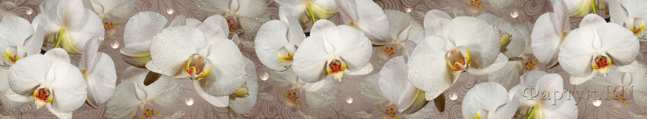 Скинали — Орхидеи