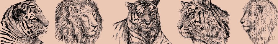 Скинали — Львы и тигры