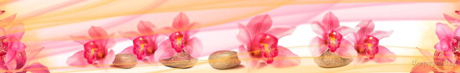 Скинали — Орхидея и камни 