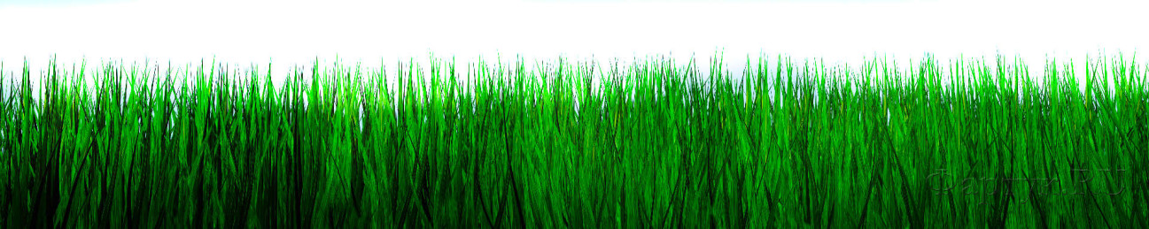 Скинали — Зеленая трава