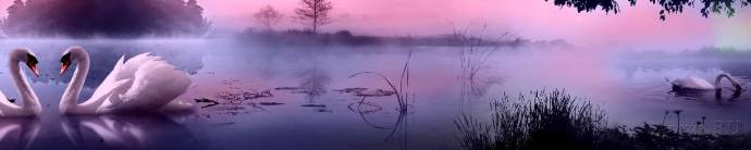 Скинали — Туман над рекой и лебеди 