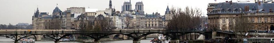 Скинали — Панорама в Париже