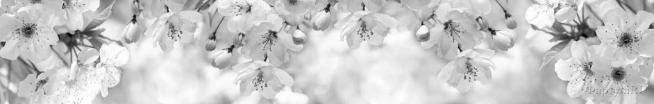 Скинали — Цветущая вишня в сером цвете