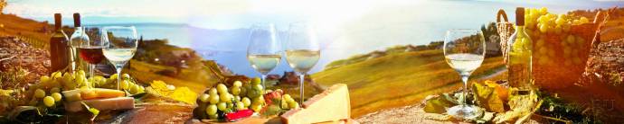 Скинали — Белое вино с ароматным сыром и виноградом на фоне полевых просторов 