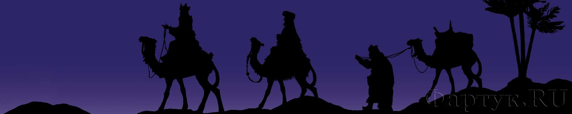 Верблюды арабской ночью