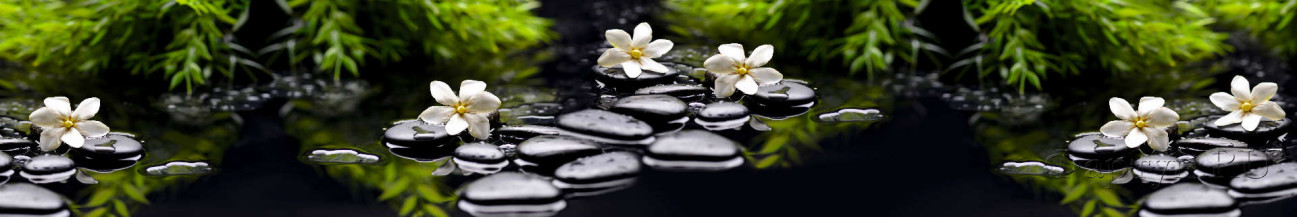 Скинали — Белые цветы и черные камни на воде 