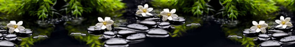 Скинали — Белые цветы и черные камни на воде 