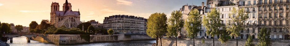Скинали —  Собор Нотр-Дам и река Сена в Париже