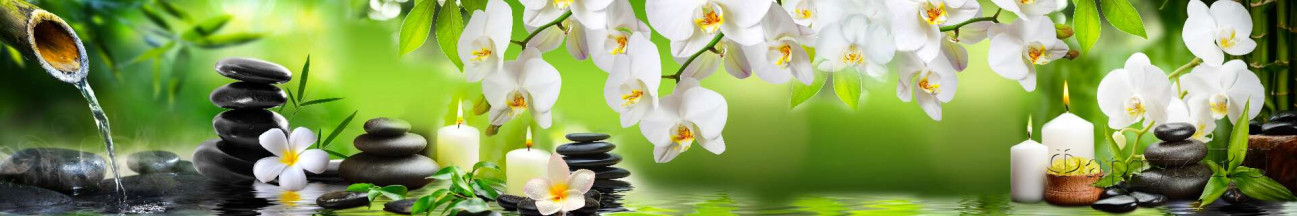 Скинали — Орхидеи, камни и бамбук - коллаж