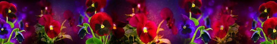 Скинали — Яркие цветы