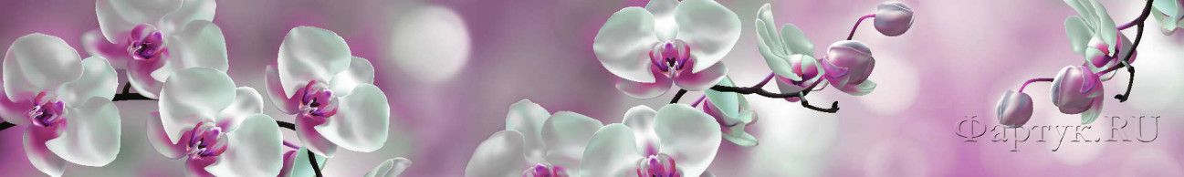 Скинали — Орхидея крупным планом 