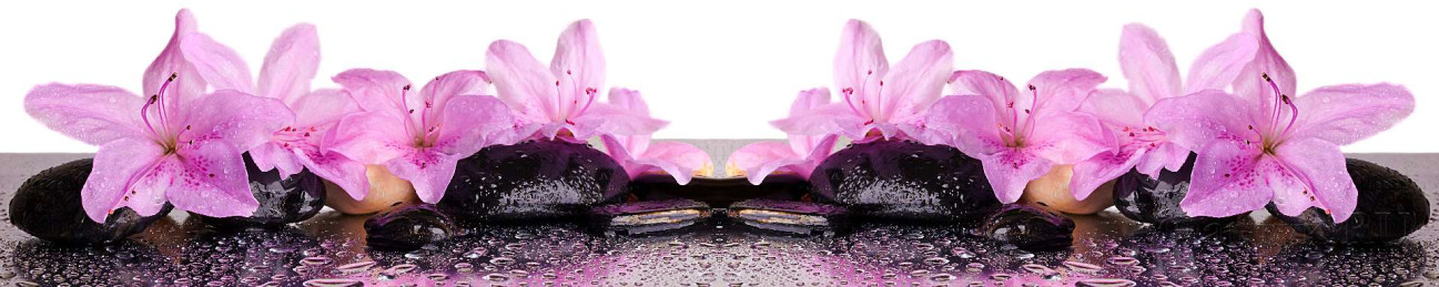 Скинали — Фиолетовые лилии на камнях
