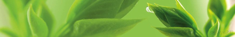 Скинали — Листья зеленого чая