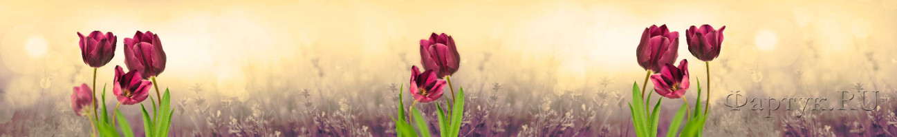 Скинали — Весенние тюльпаны на размытом фоне 