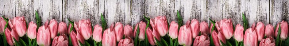 Скинали — Крупные розовые тюльпаны