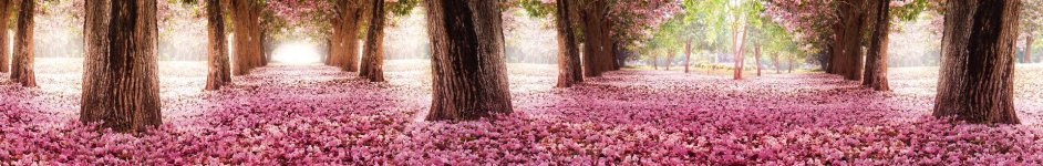 Скинали — Розовые цветущие деревья
