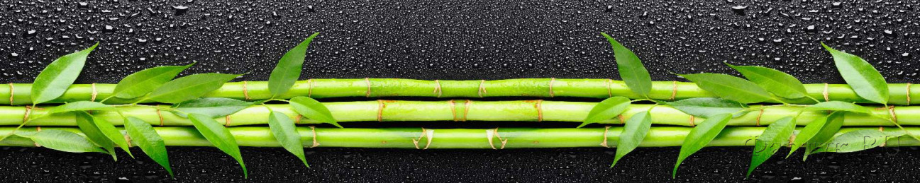 Скинали — Зеленый бамбук на черном фоне с каплями воды