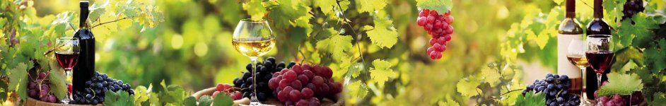 Скинали — Вино, виноград на винных бочках на фоне зеленых листьев