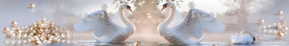 Скинали — Два белых лебедя на воде 