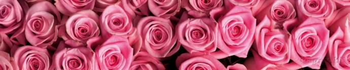 Скинали — Розовые розы