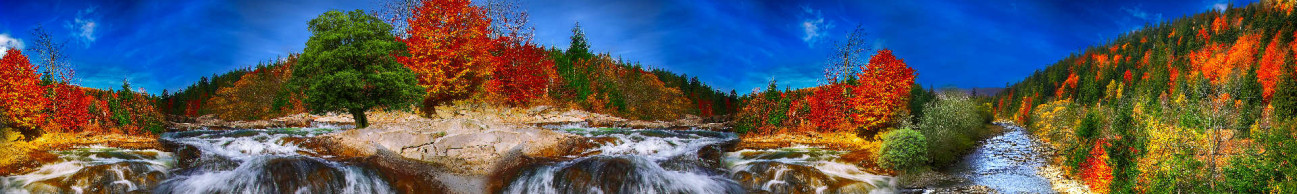 Скинали — Осенний лес и камни в воде 