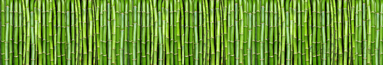 Скинали — Яркие стебли бамбука