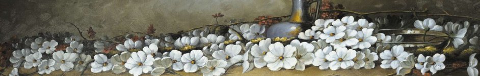 Скинали — Рисованные белые цветы