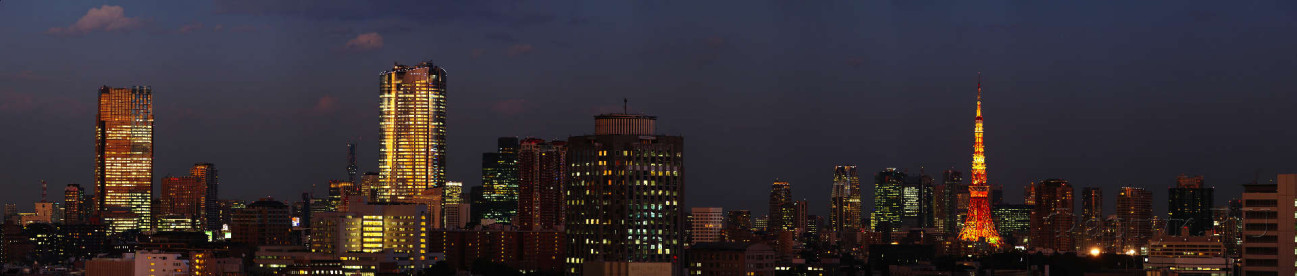 Скинали — Токио ночной в фиолетовом свете