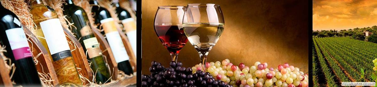Скинали — Винная коллекция, бокалы, виноградная плантация