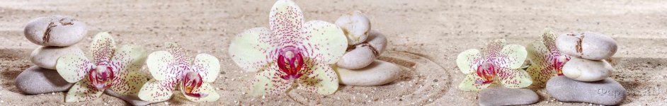 Скинали — Орхидеи на печке