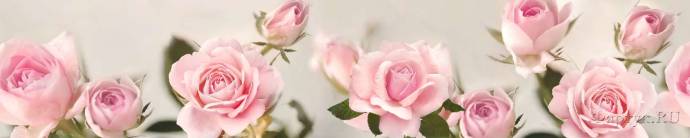 Скинали — нежные розовые розы