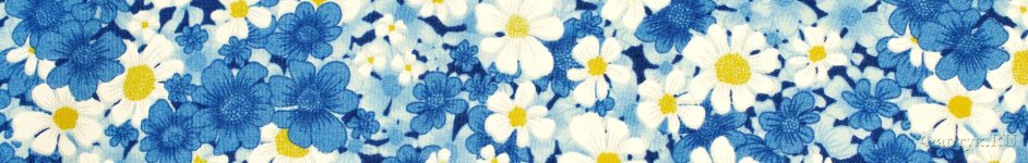 Скинали — Сине-белый цветочный фон