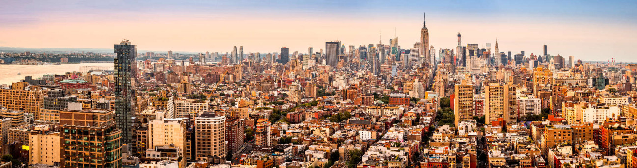 Скинали — Панорама Нью-Йорк в коричневых тонах