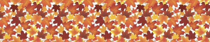 Скинали — Осенние кленовые листья