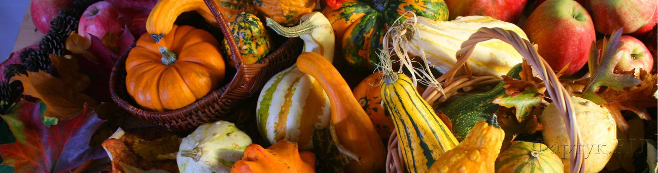 Скинали — Осенняя корзина овощи и фрукты