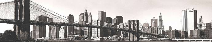 Скинали — Бруклинский мост в серых тонах