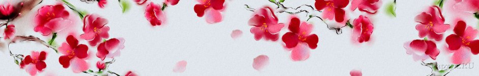 Скинали — Цветущая сакура