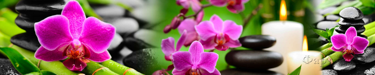 Скинали — Розовые орхидеи на фоне горок камней