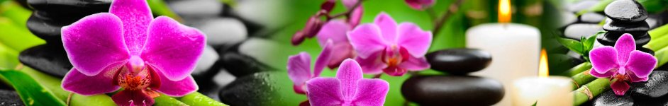 Скинали — Розовые орхидеи на фоне горок камней