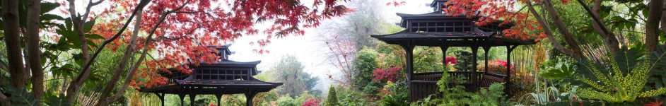 Скинали — Японский сад