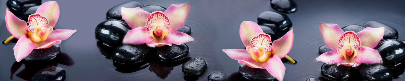 Скинали — Розовые орхидеи и черные камни в воде на сером фоне