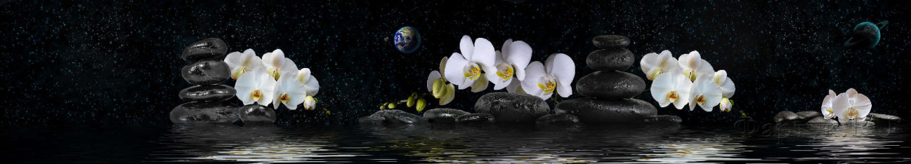 Скинали — Белые орхидеи на камнях с отражением в воде