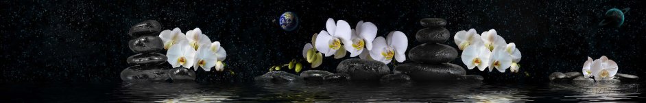 Скинали — Белые орхидеи на камнях с отражением в воде