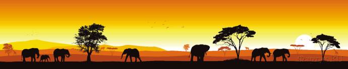 Скинали — Сафари, слоны на закате