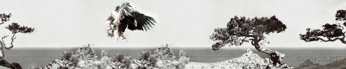 Скинали — Черно-белый пейзаж скалы у моря и орел