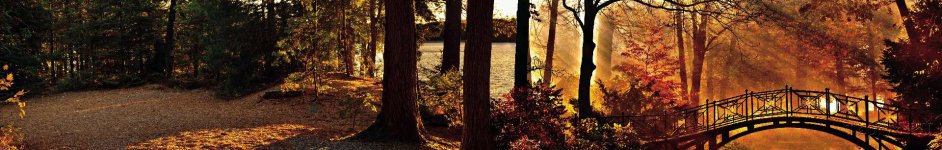 Скинали — Осенняя тропа