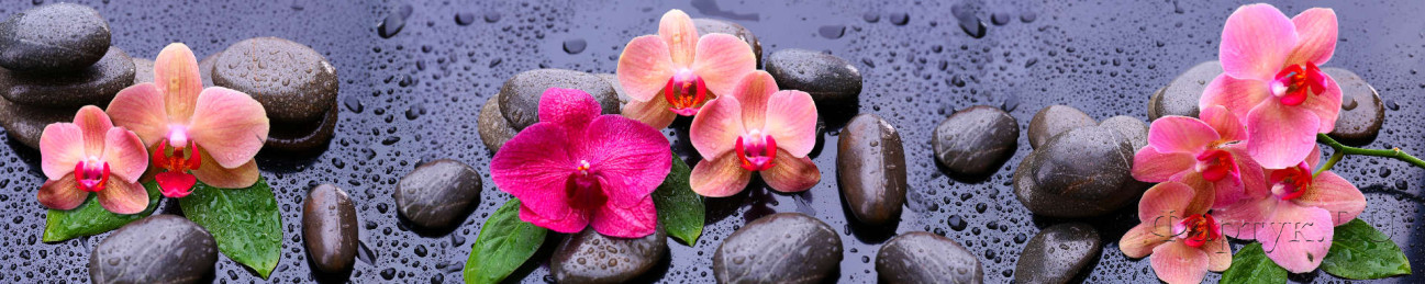 Скинали — Розовые орхидеи и камни