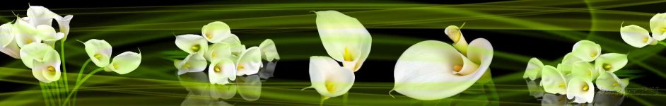 Скинали — Калла - элегантный цветок