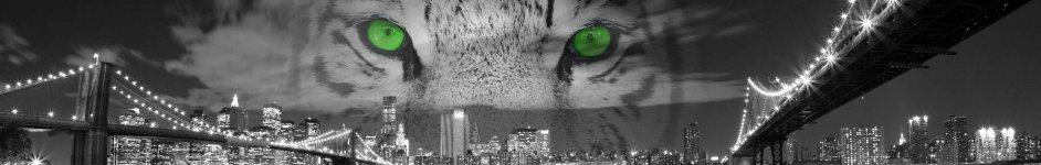Скинали — Черно-белый тигр с зелеными глазами на фоне Бруклинского моста